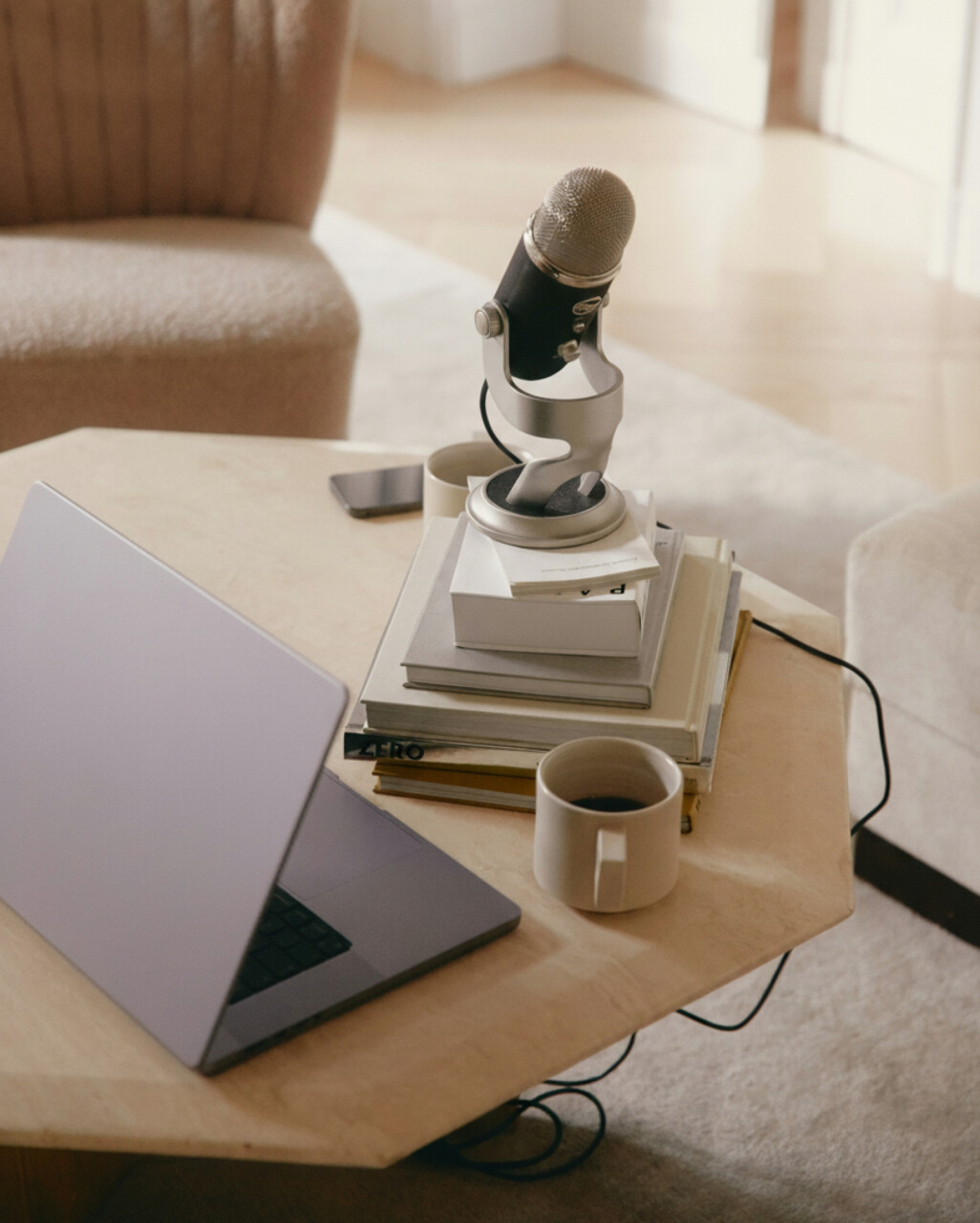 Bild zeigt Laptop und Mikrofon um Interview darzustellen