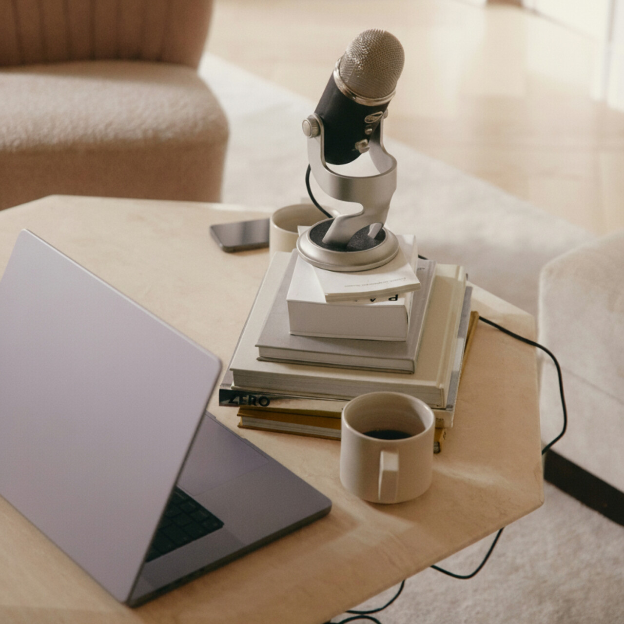 Bild zeigt Laptop und Mikrofon um Interview darzustellen