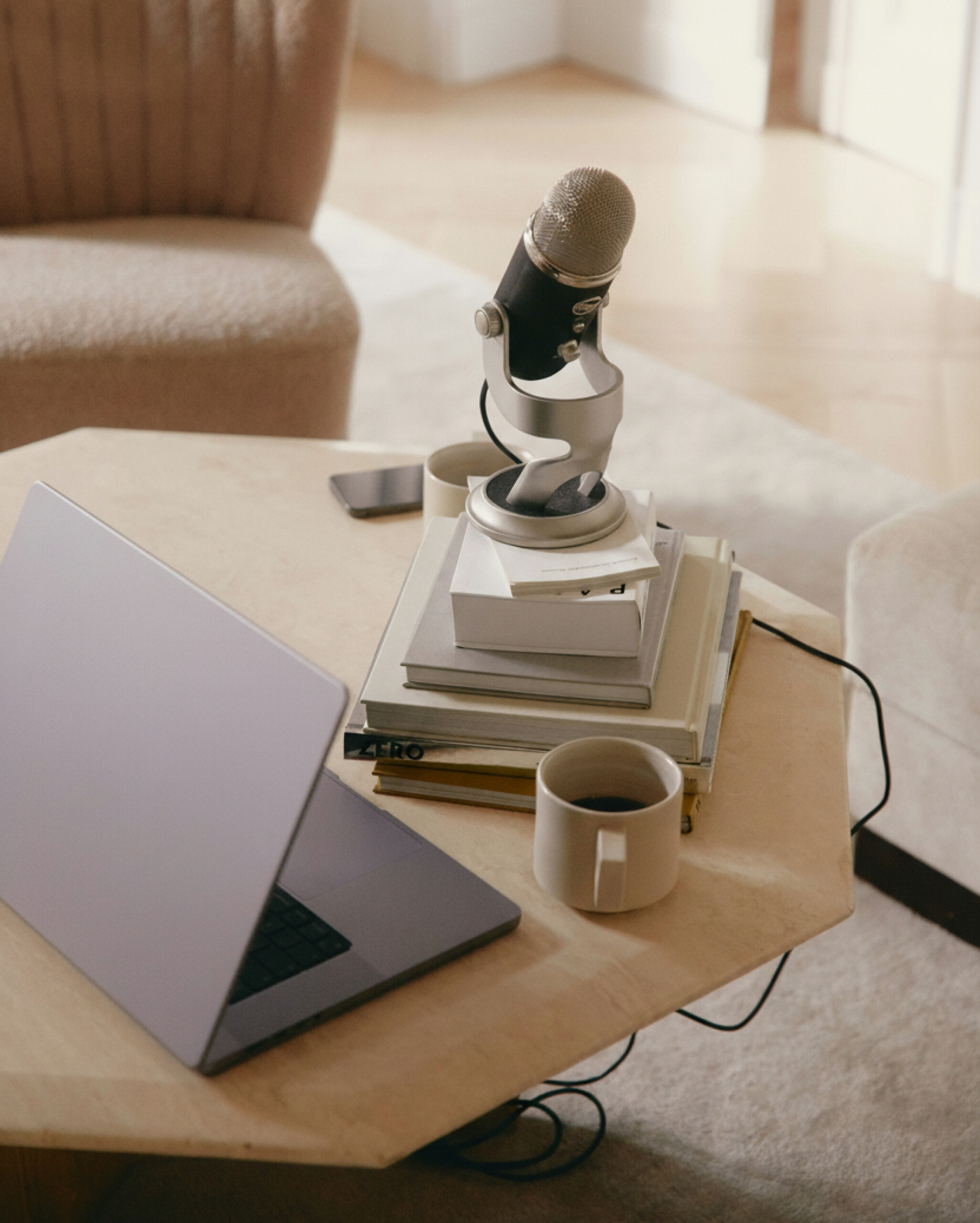 Bild zeigt Laptop und Mikrofon um Interview darzustellen